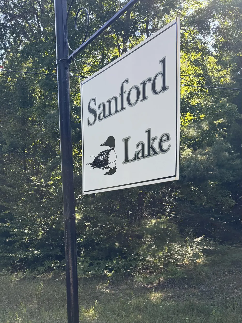 4721 E Sanford Lake Drive Almira Township, MI 49650