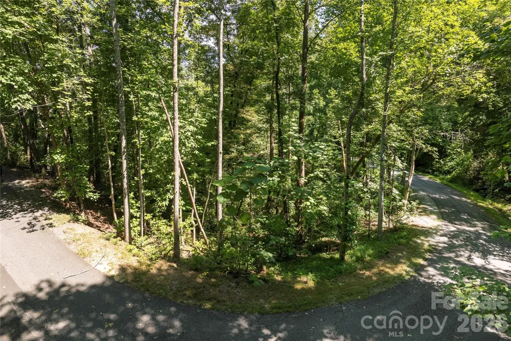 0 Weaver Lane Lake Lure, NC 28746