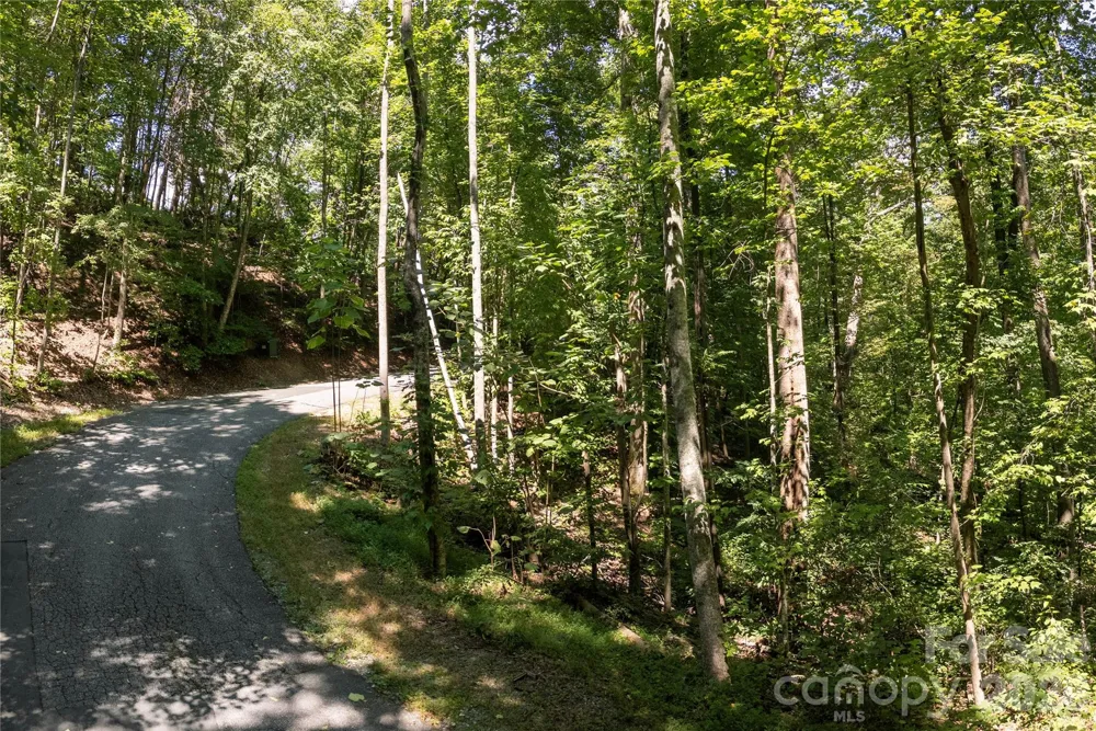 0 Weaver Lane Lake Lure, NC 28746