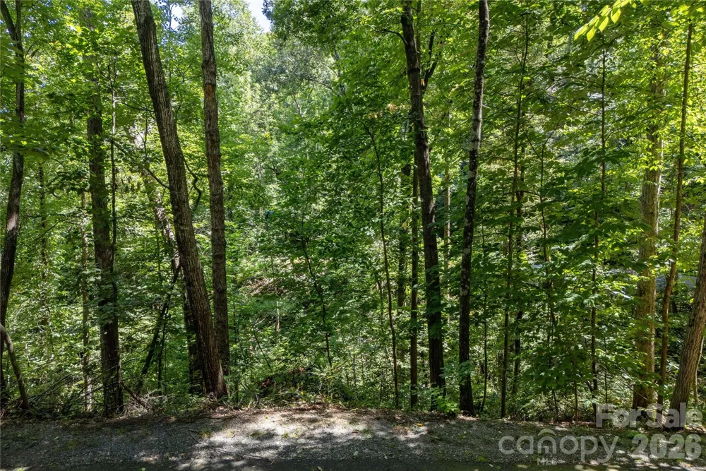 0 Weaver Lane Lake Lure, NC 28746