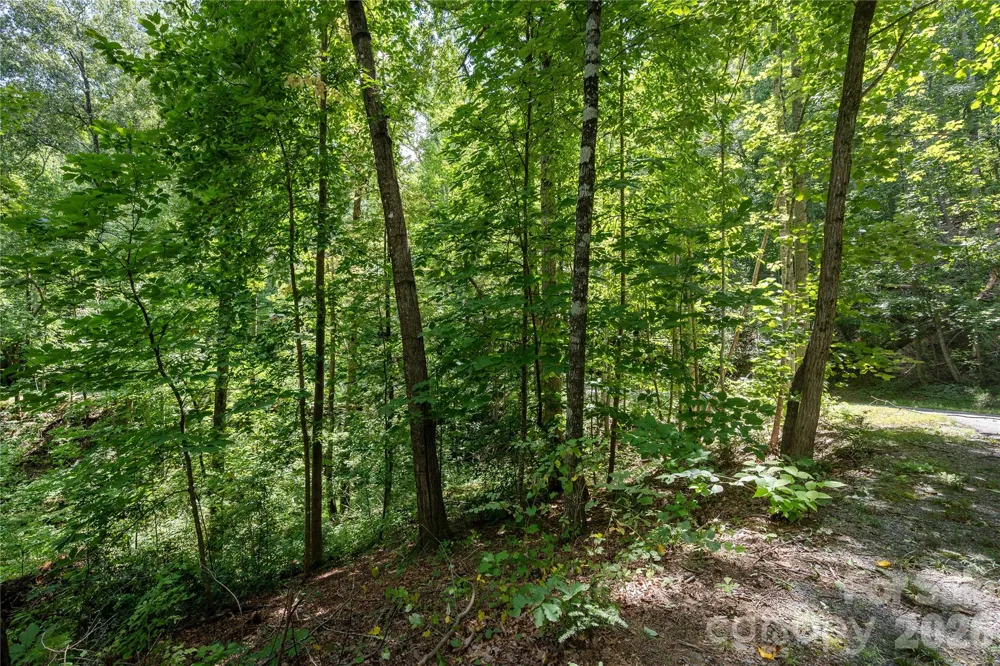 0 Weaver Lane Lake Lure, NC 28746