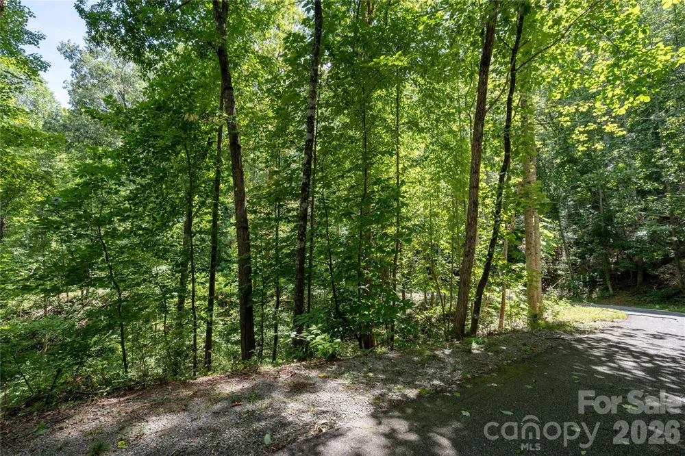 0 Weaver Lane Lake Lure, NC 28746