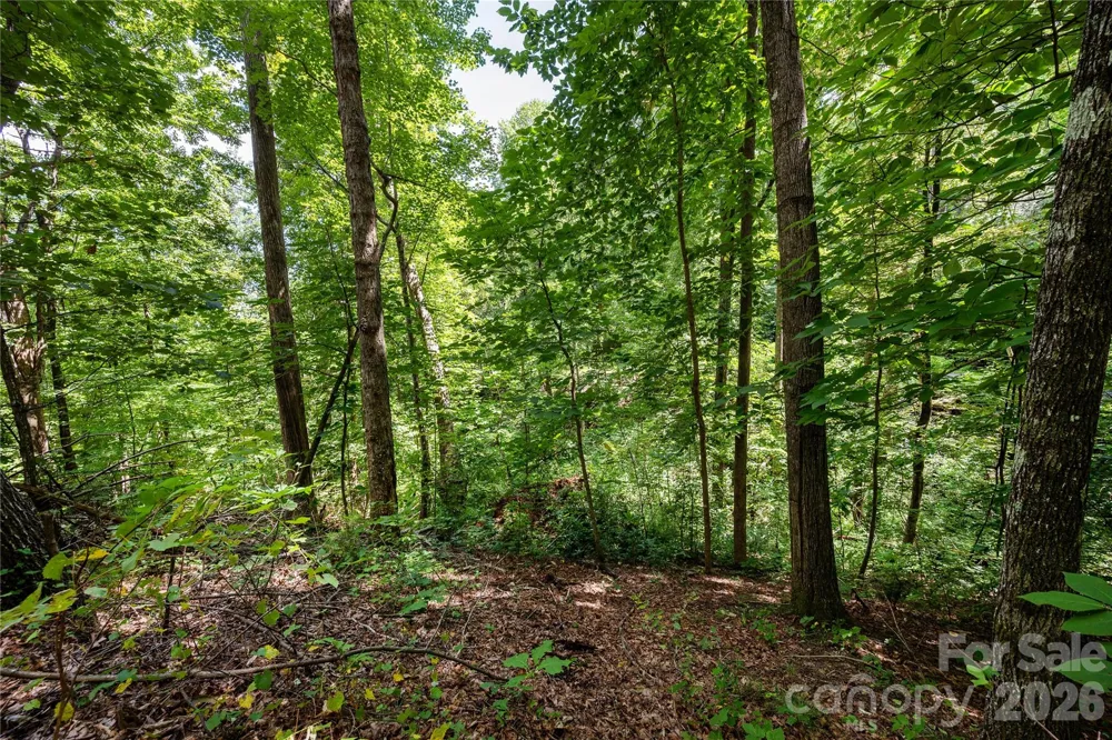 0 Weaver Lane Lake Lure, NC 28746