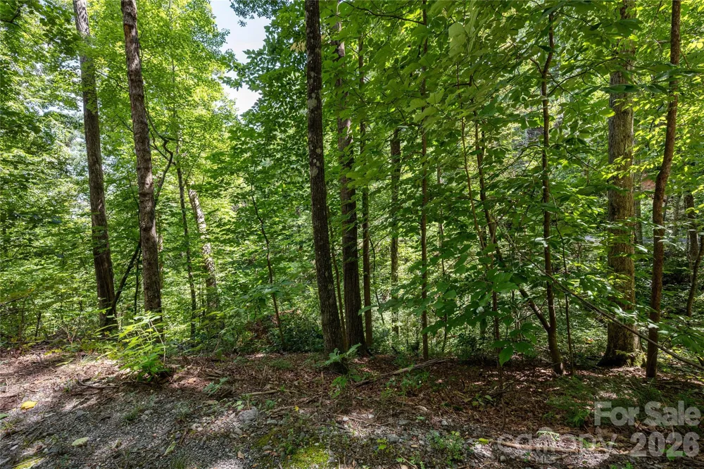 0 Weaver Lane Lake Lure, NC 28746