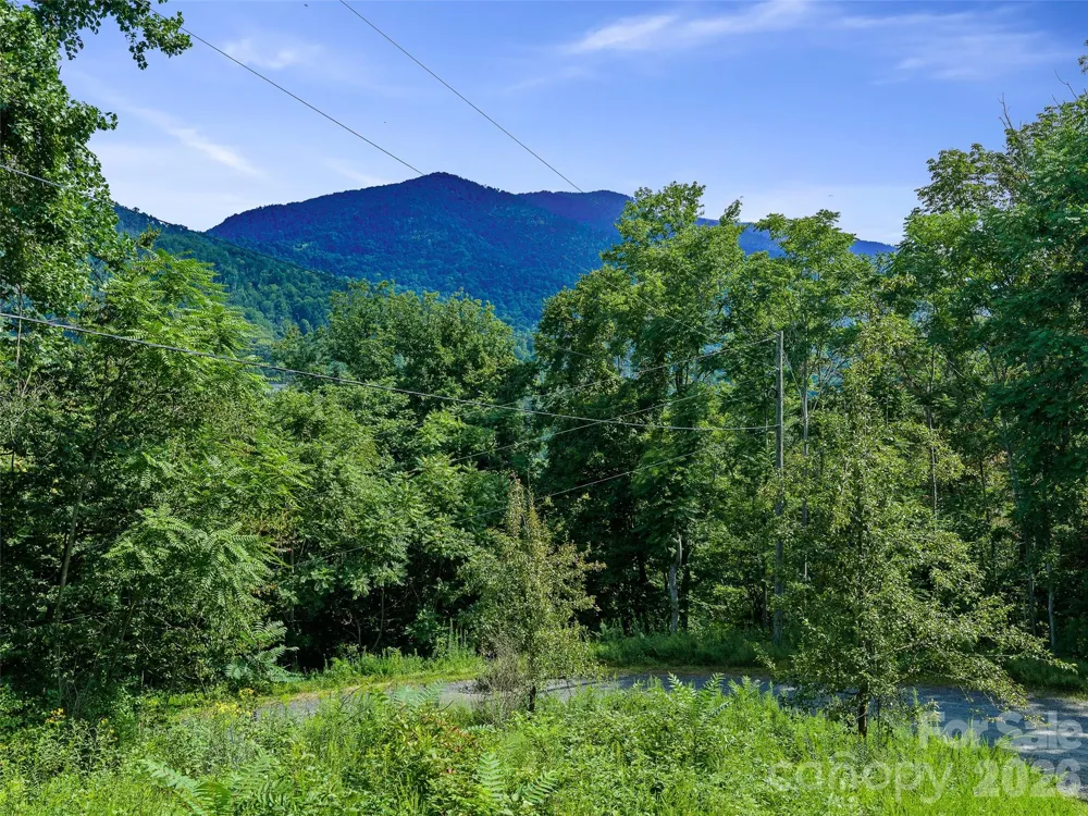 Lot #63-65 Bear Ridge Road Bakersville, NC 28705
