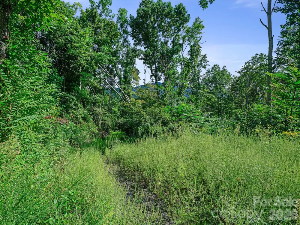 Lot #63-65 Bear Ridge Road Bakersville, NC 28705