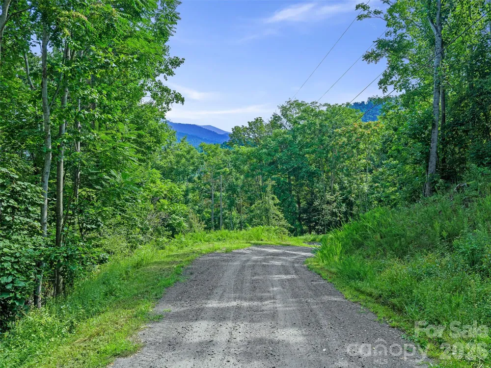 Lot #63-65 Bear Ridge Road Bakersville, NC 28705
