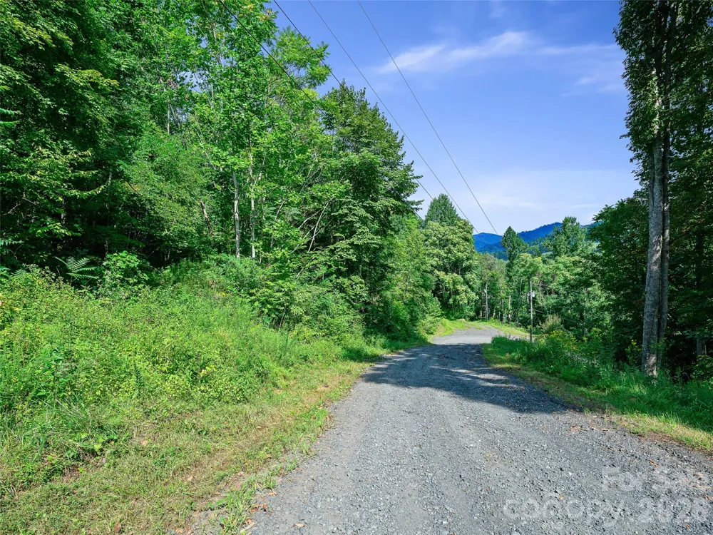 Lot #63-65 Bear Ridge Road Bakersville, NC 28705