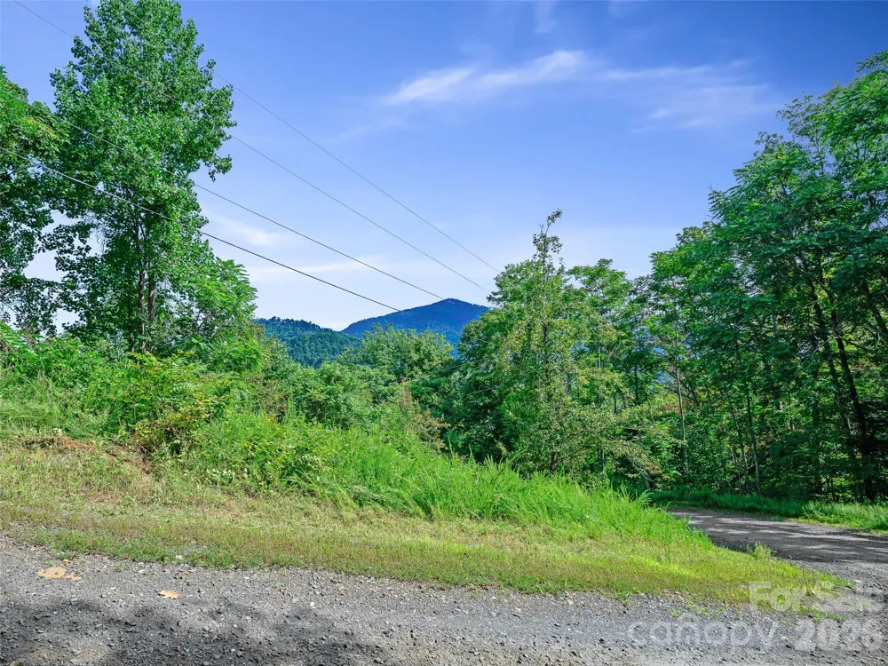Lot #63-65 Bear Ridge Road Bakersville, NC 28705