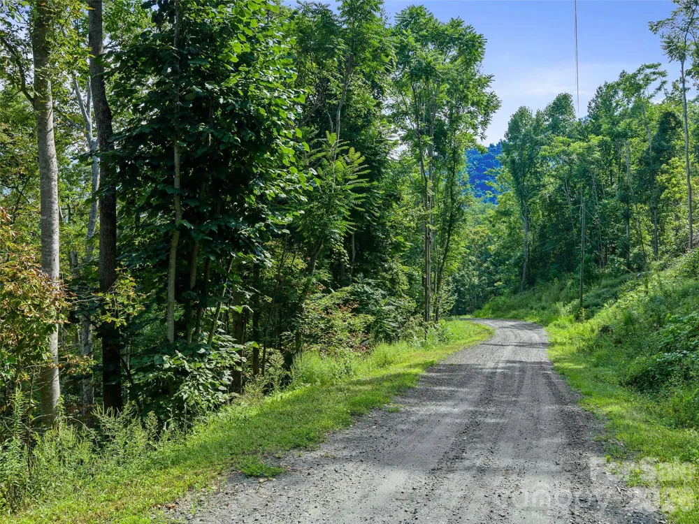 Lot #63-65 Bear Ridge Road Bakersville, NC 28705