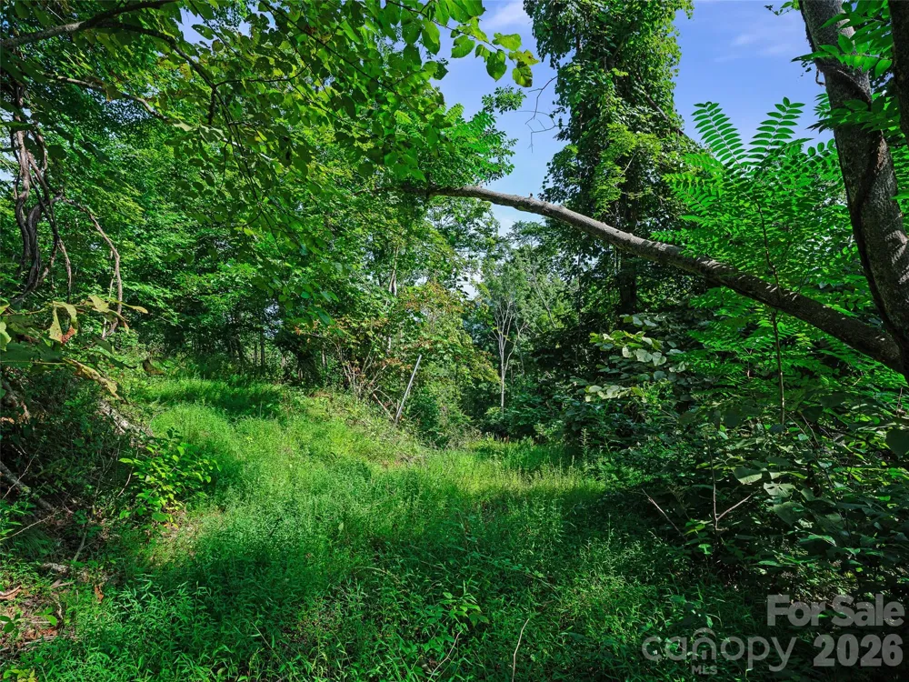 Lot #63-65 Bear Ridge Road Bakersville, NC 28705