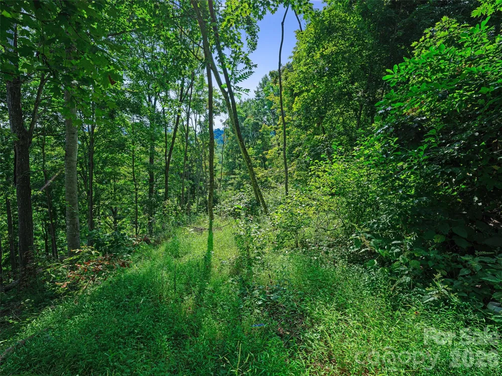 Lot #63-65 Bear Ridge Road Bakersville, NC 28705