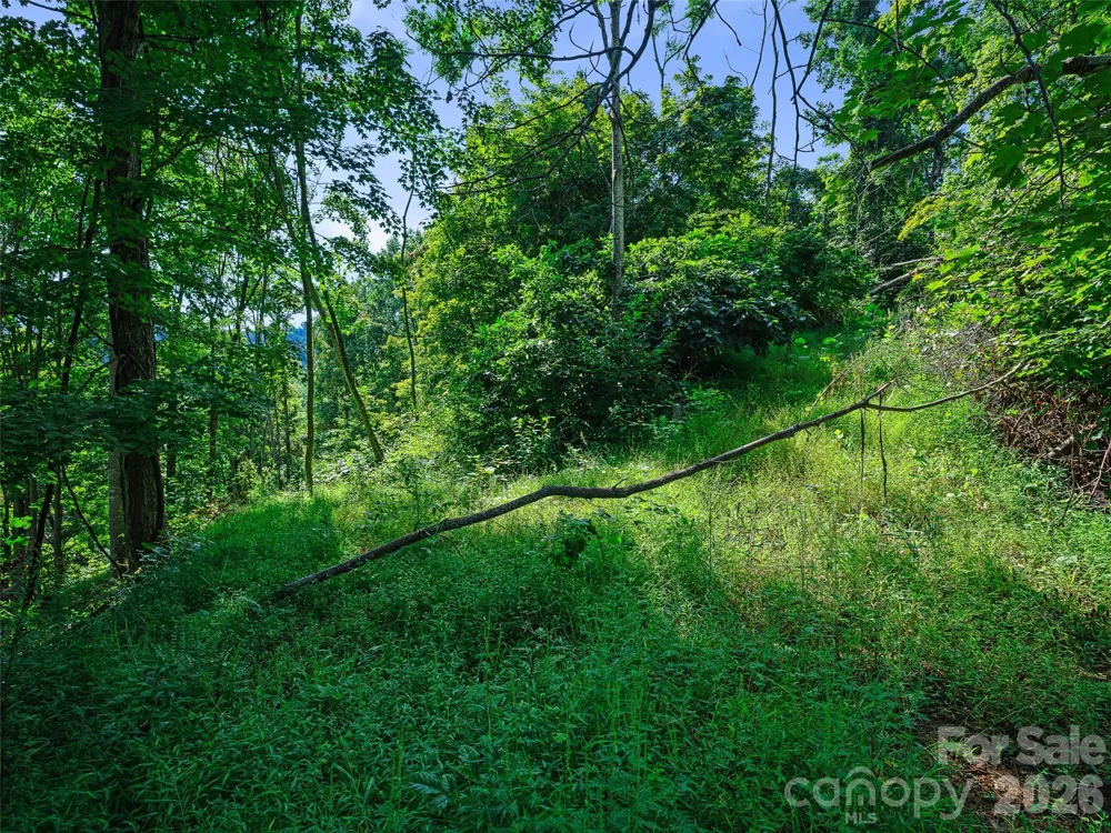 Lot #63-65 Bear Ridge Road Bakersville, NC 28705