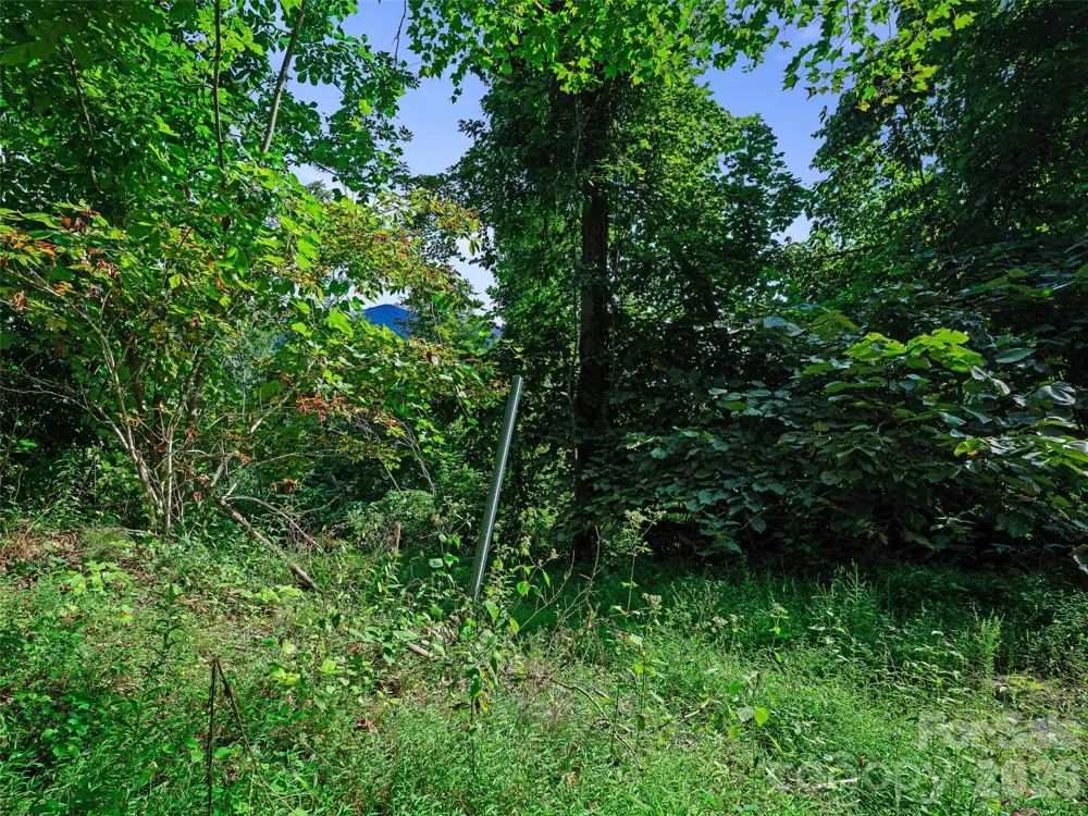 Lot #63-65 Bear Ridge Road Bakersville, NC 28705