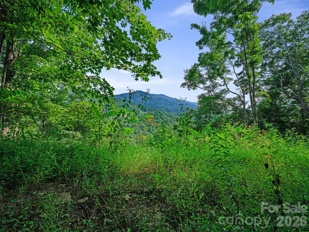 Lot #63-65 Bear Ridge Road Bakersville, NC 28705