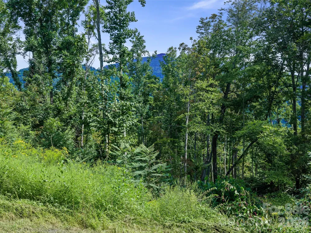 Lot #63-65 Bear Ridge Road Bakersville, NC 28705
