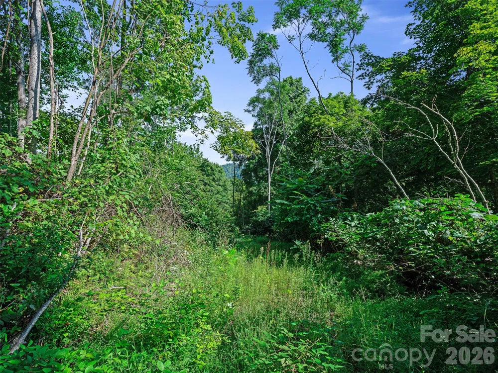 Lot #63-65 Bear Ridge Road Bakersville, NC 28705