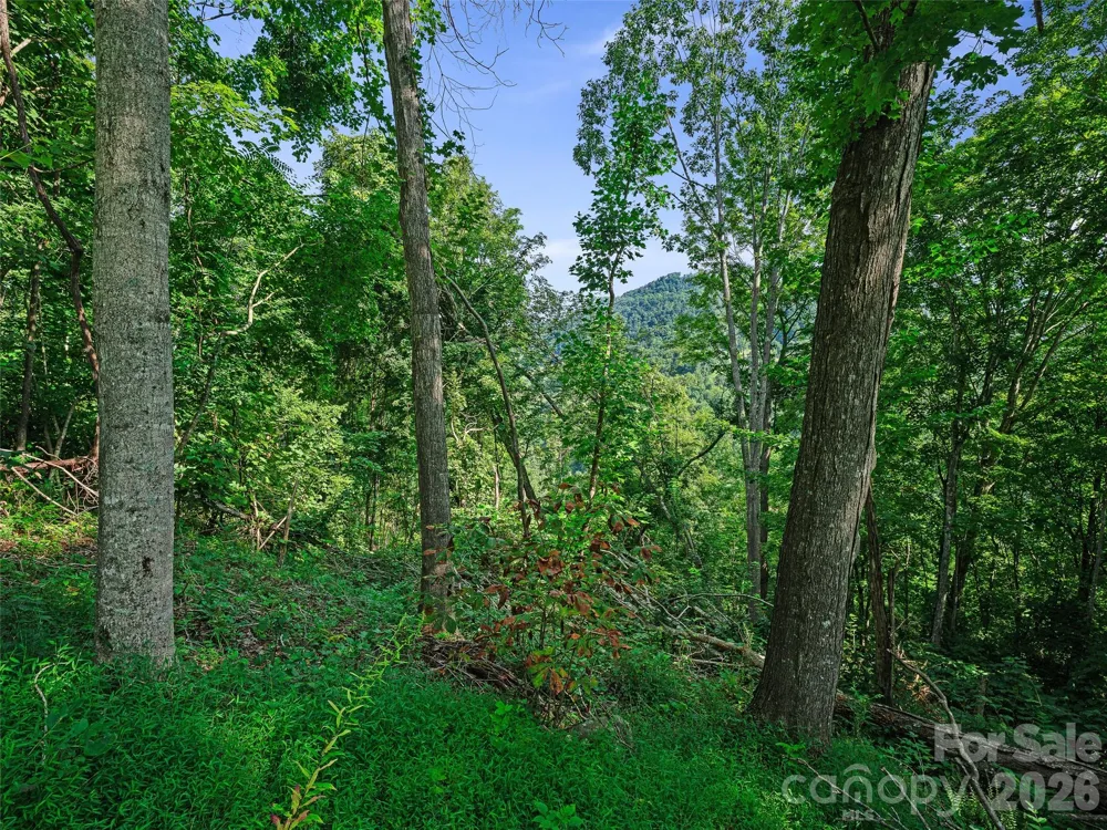 Lot #63-65 Bear Ridge Road Bakersville, NC 28705