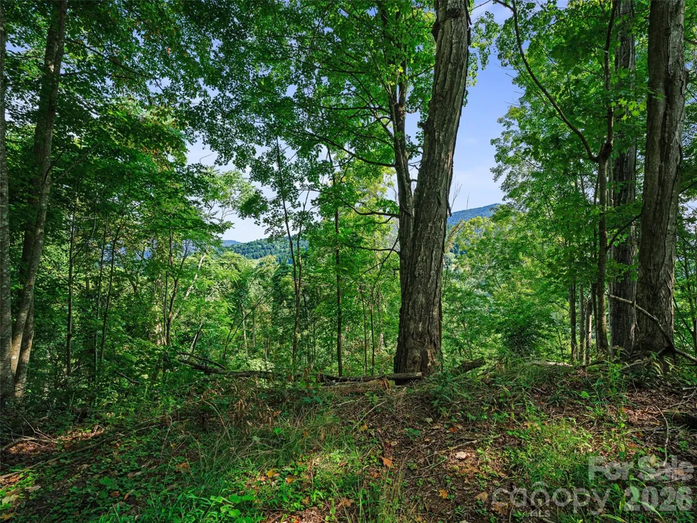 Lot #63-65 Bear Ridge Road Bakersville, NC 28705
