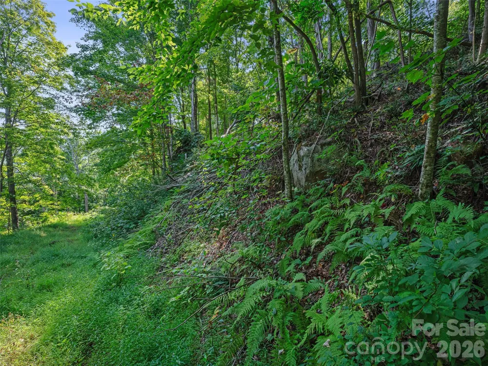Lot #63-65 Bear Ridge Road Bakersville, NC 28705