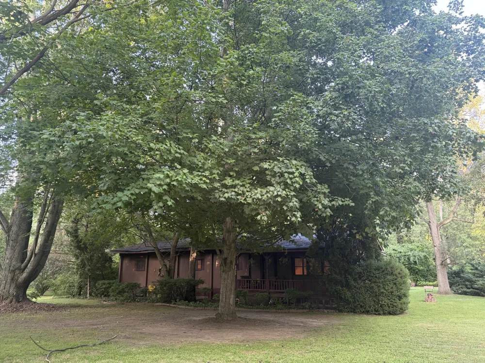 8830 Zion Road Rives Junction, MI 49277