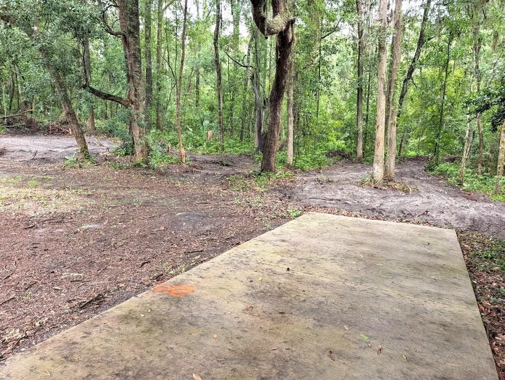 1524 NW 34TH PLACE Gainesville, FL 32605