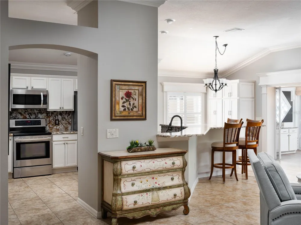 756 ENDICOTT WAY The Villages, FL 32162