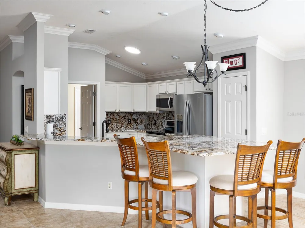756 ENDICOTT WAY The Villages, FL 32162