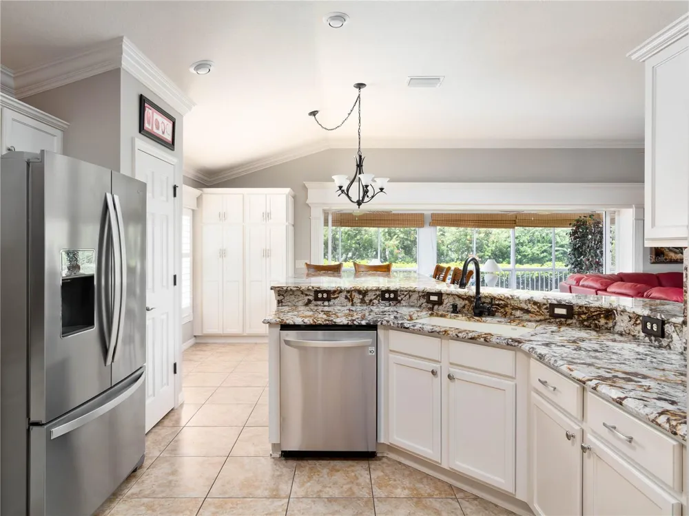 756 ENDICOTT WAY The Villages, FL 32162