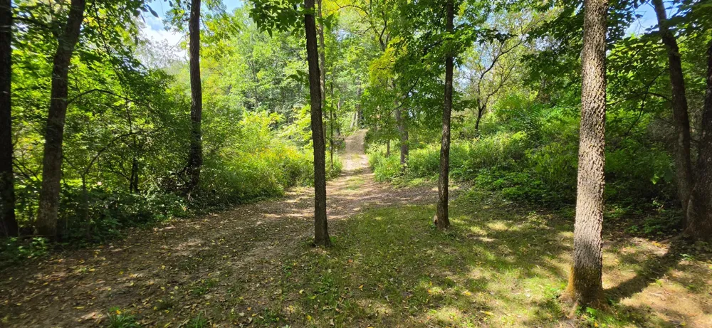 TBD Cty Hwy 27 Rushford, MN 55971