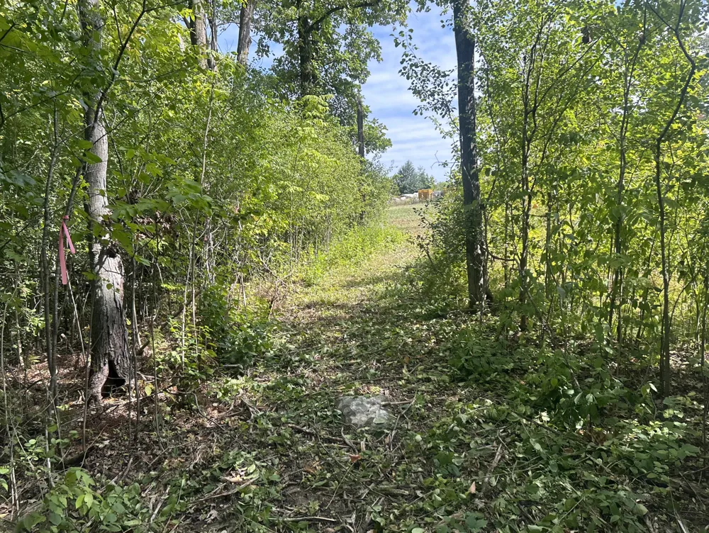 1785 Highway 47 #1 Ogilvie, MN 56358