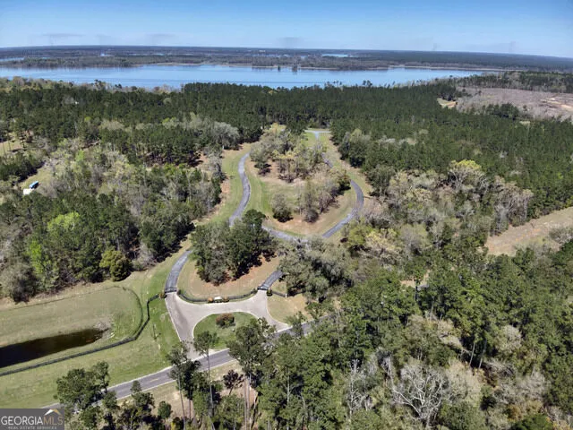 TBD LOT 29 Seminole Ridge Bainbridge, GA 39819