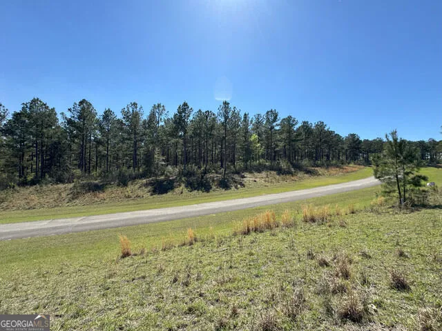 TBD LOT 77-80 Seminole Ridge Bainbridge, GA 39819