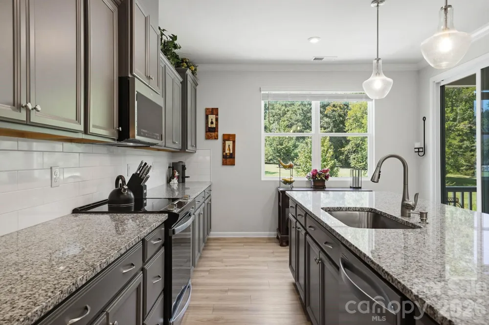 16705 Summers Walk Boulevard Davidson, NC 28036