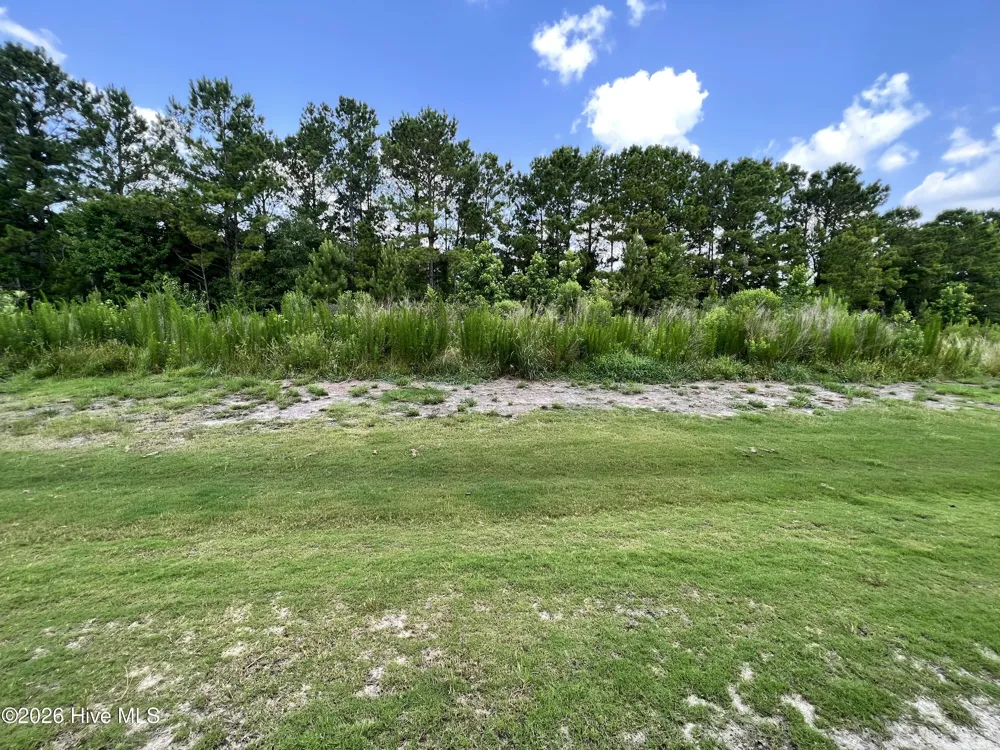 1513 Grey Cliff Wilmington, NC 28405