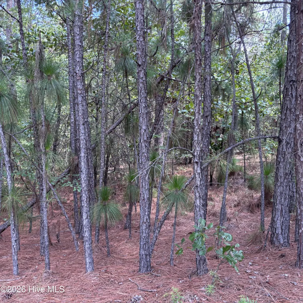 109 Haddington Drive Pinehurst, NC 28374