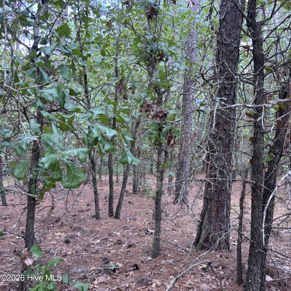 109 Haddington Drive Pinehurst, NC 28374
