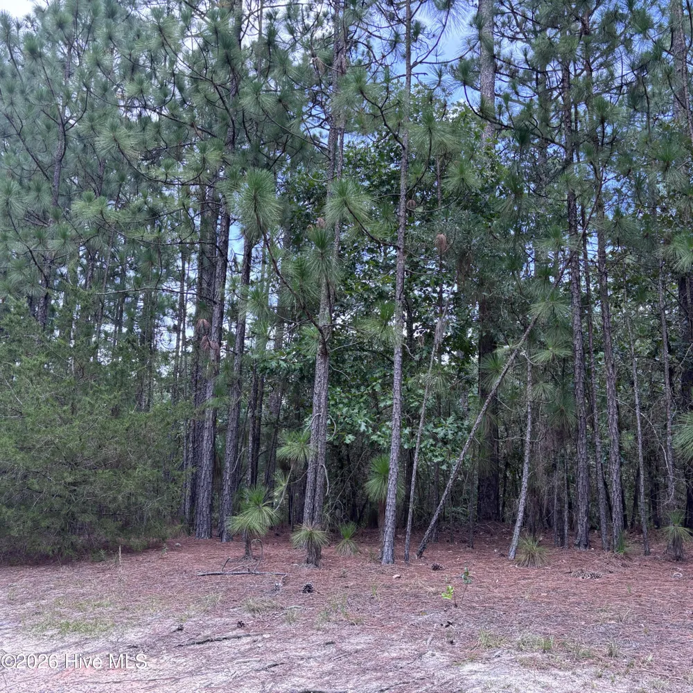 109 Haddington Drive Pinehurst, NC 28374