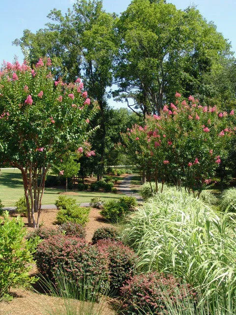 1033 Ardrey Circle Evans, GA 30809