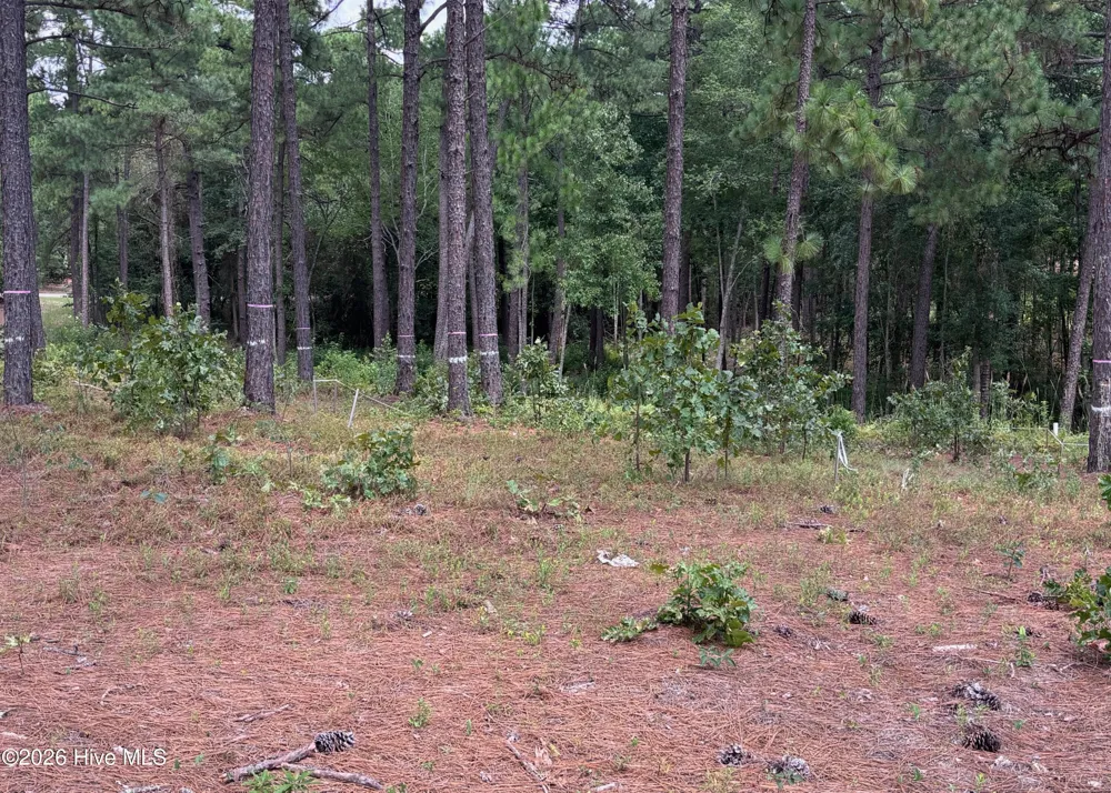 103 Haddington Drive Pinehurst, NC 28374