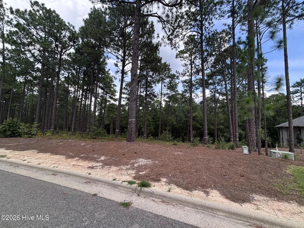 103 Haddington Drive Pinehurst, NC 28374