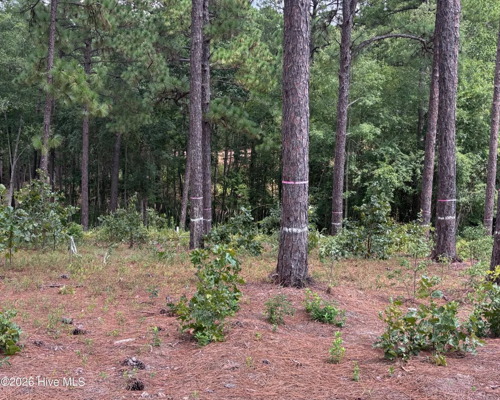 103 Haddington Drive Pinehurst, NC 28374