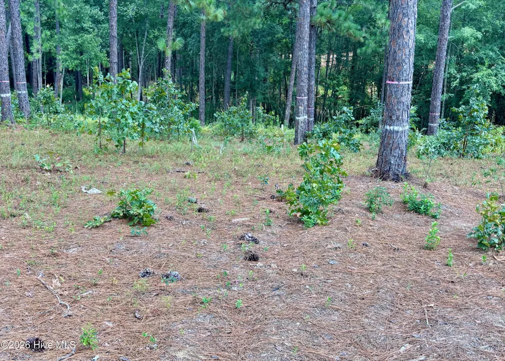 103 Haddington Drive Pinehurst, NC 28374