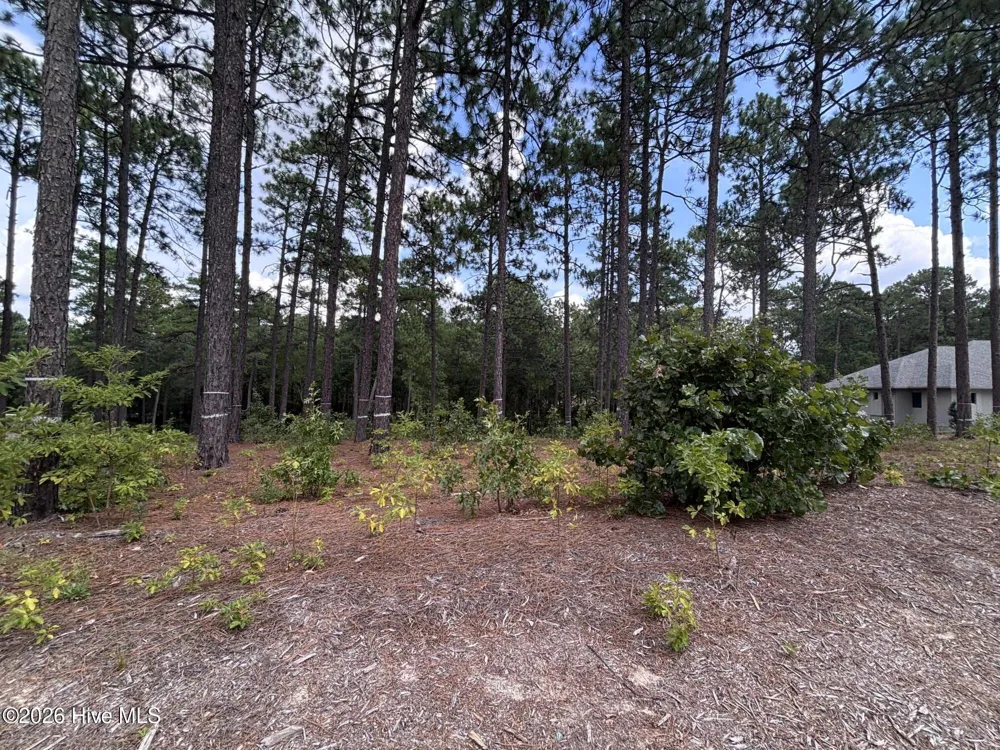 103 Haddington Drive Pinehurst, NC 28374
