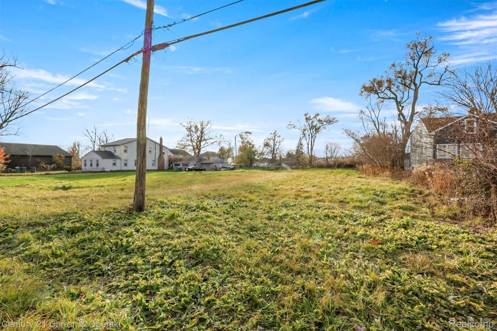 5 W Jefferson Avenue Brownstown Charter Township, MI 48173