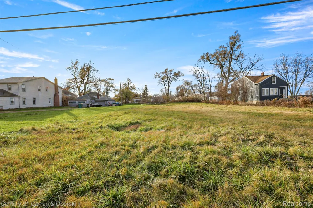 5 W Jefferson Avenue Brownstown Charter Township, MI 48173