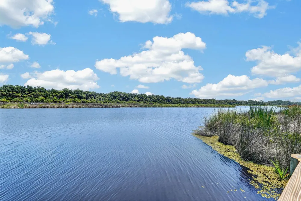 8 LEXINGTON COURT Flagler Beach, FL 32136