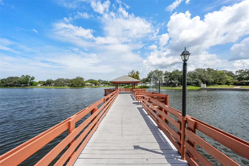 8643 GOLD PINE DRIVE Port Richey, FL 34668