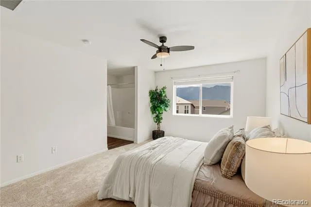 2163 St Claire Park Alley Colorado Springs, CO 80910