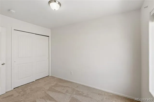 2163 St Claire Park Alley Colorado Springs, CO 80910